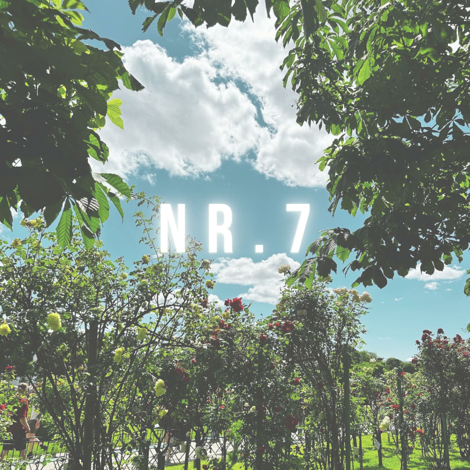 Album cover of Nr. 7