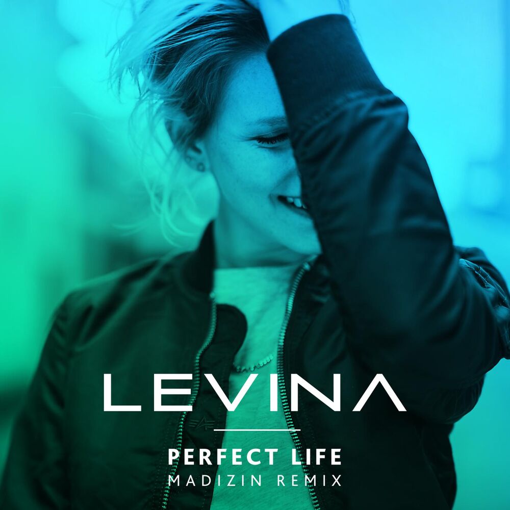 Picture of Perfect Life (Madizin Mix)