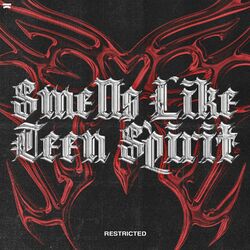 Cover of Smells Like Teen Spirit