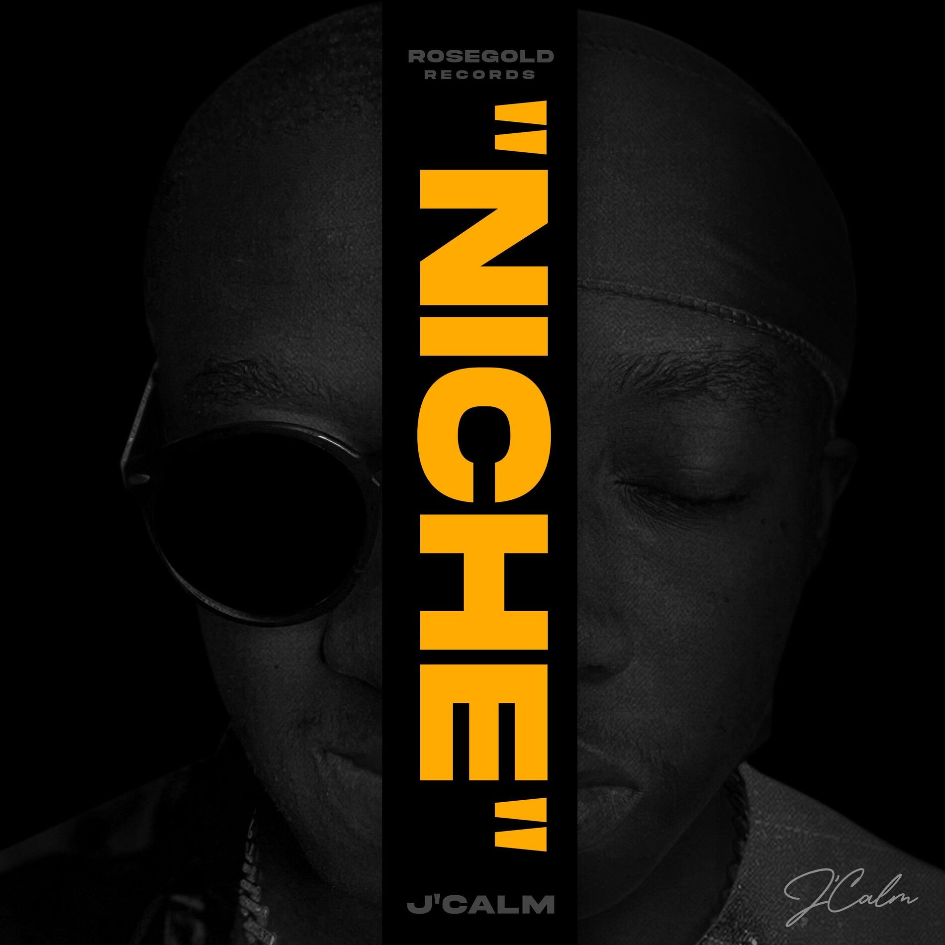 Album cover of NICHE