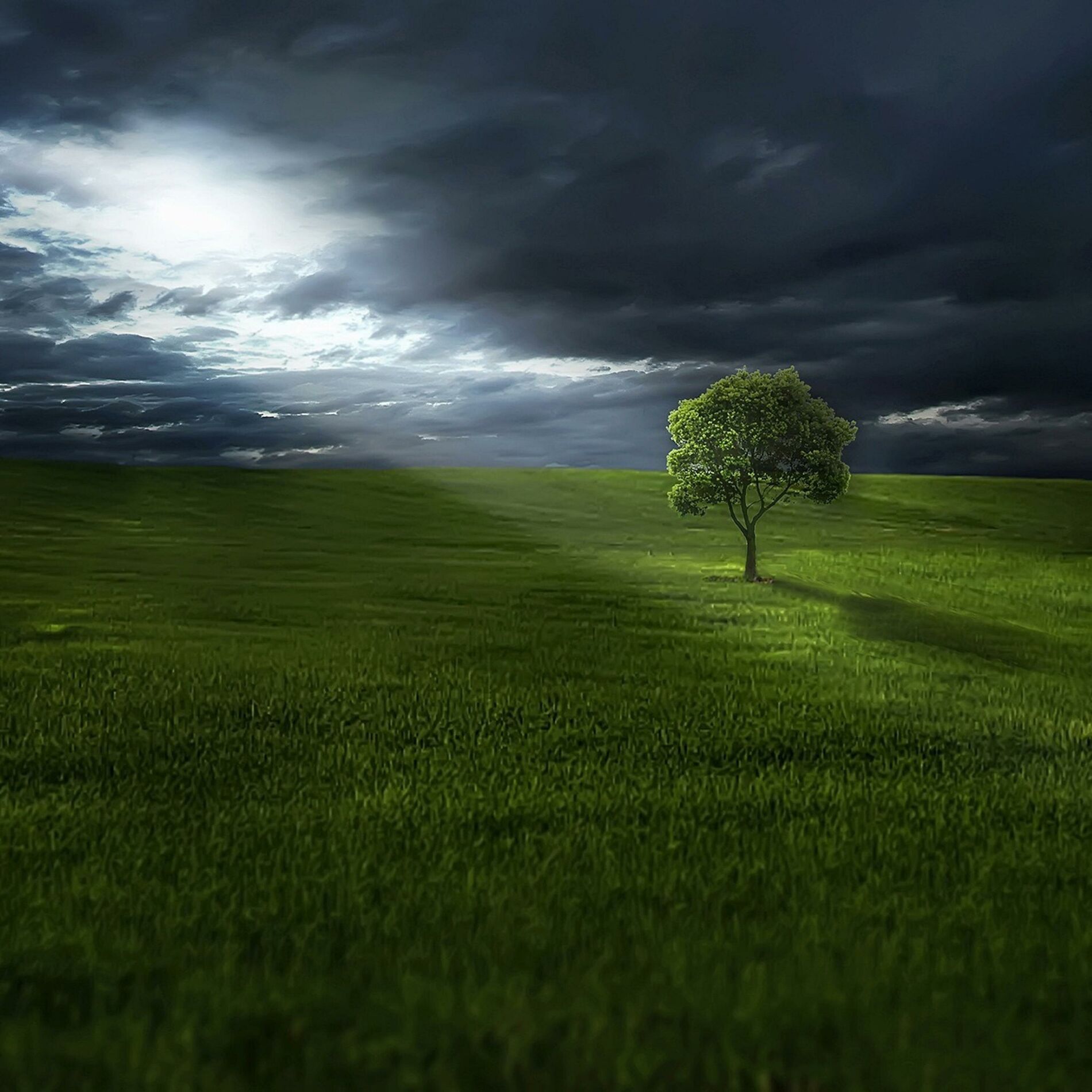 Album cover of Awakening