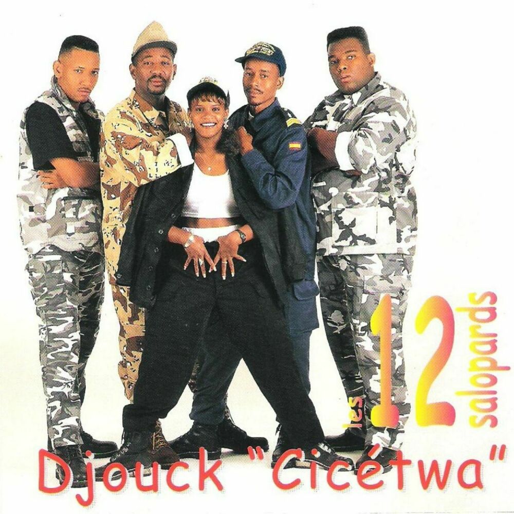 Picture of Djouck ''cicétwa'', vol. 4