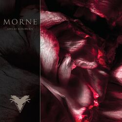 Cover of Live at Roadburn
