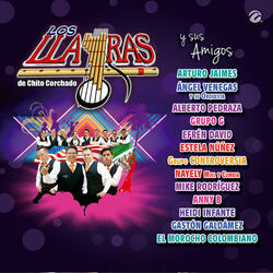 Cover of Los Llayras y Sus Amigos