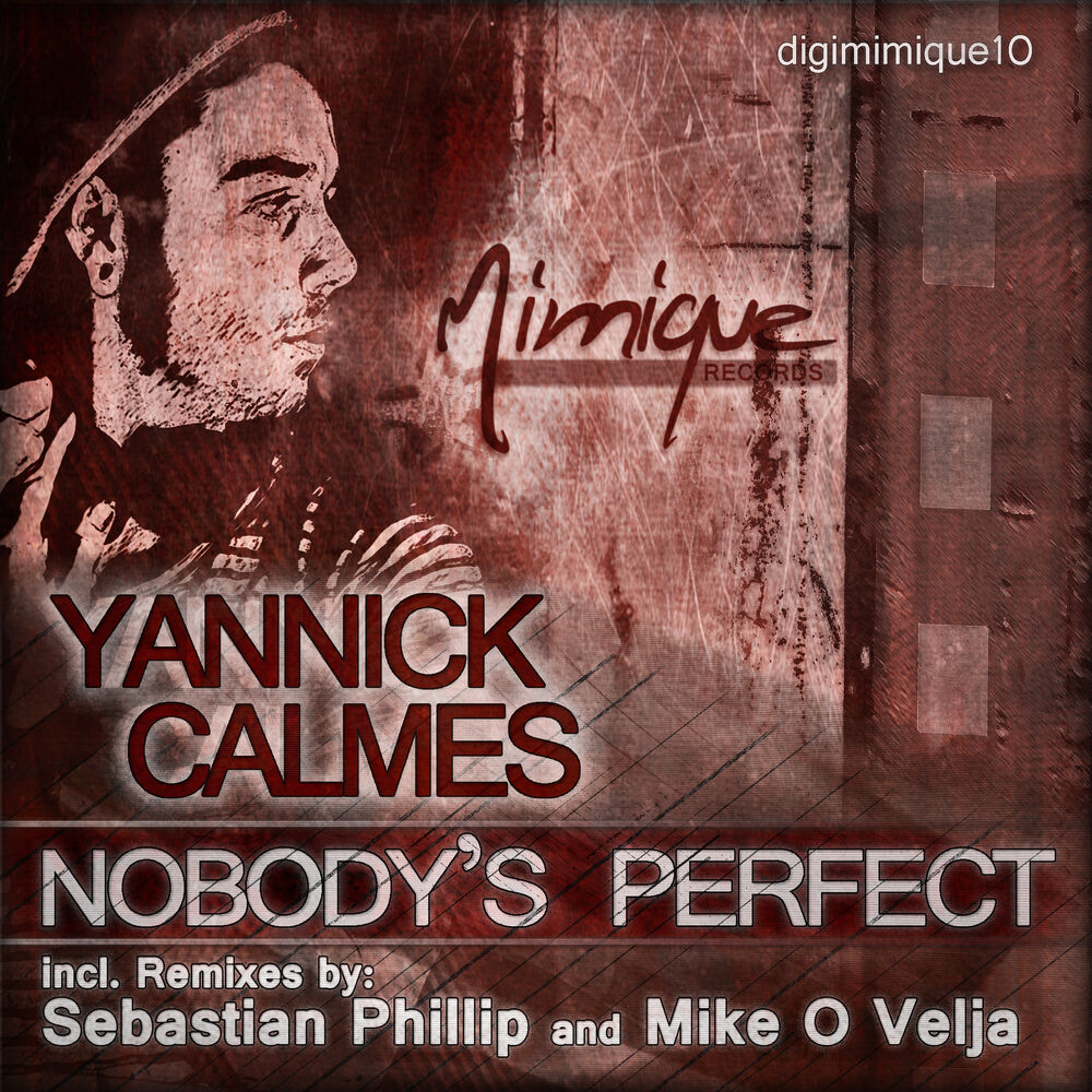 Picture of Nobody's Perfect