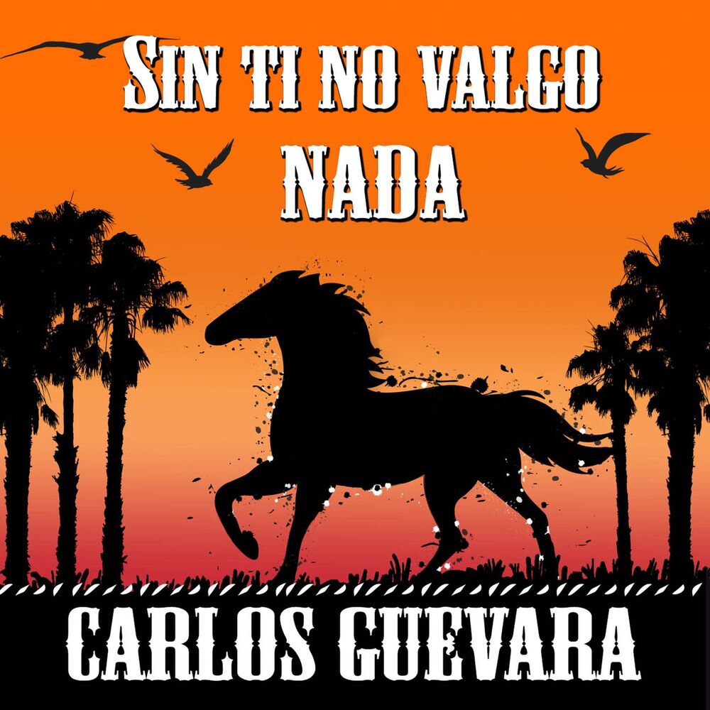 Picture of Sin Ti No Valgo Nada