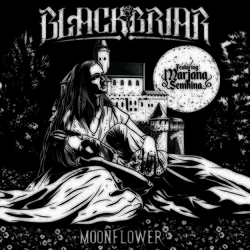 Cover of Moonflower