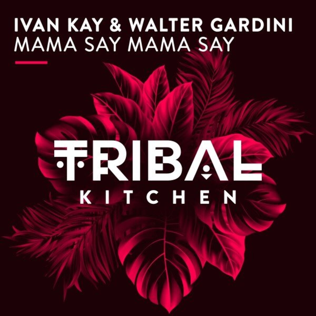 Album cover of Mama Say Mama Say