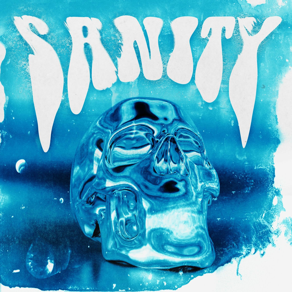 Album cover of Sanity