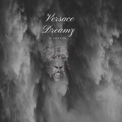 Cover of Versace Dreamz
