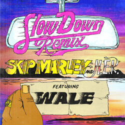 Cover of Slow Down (Remix)