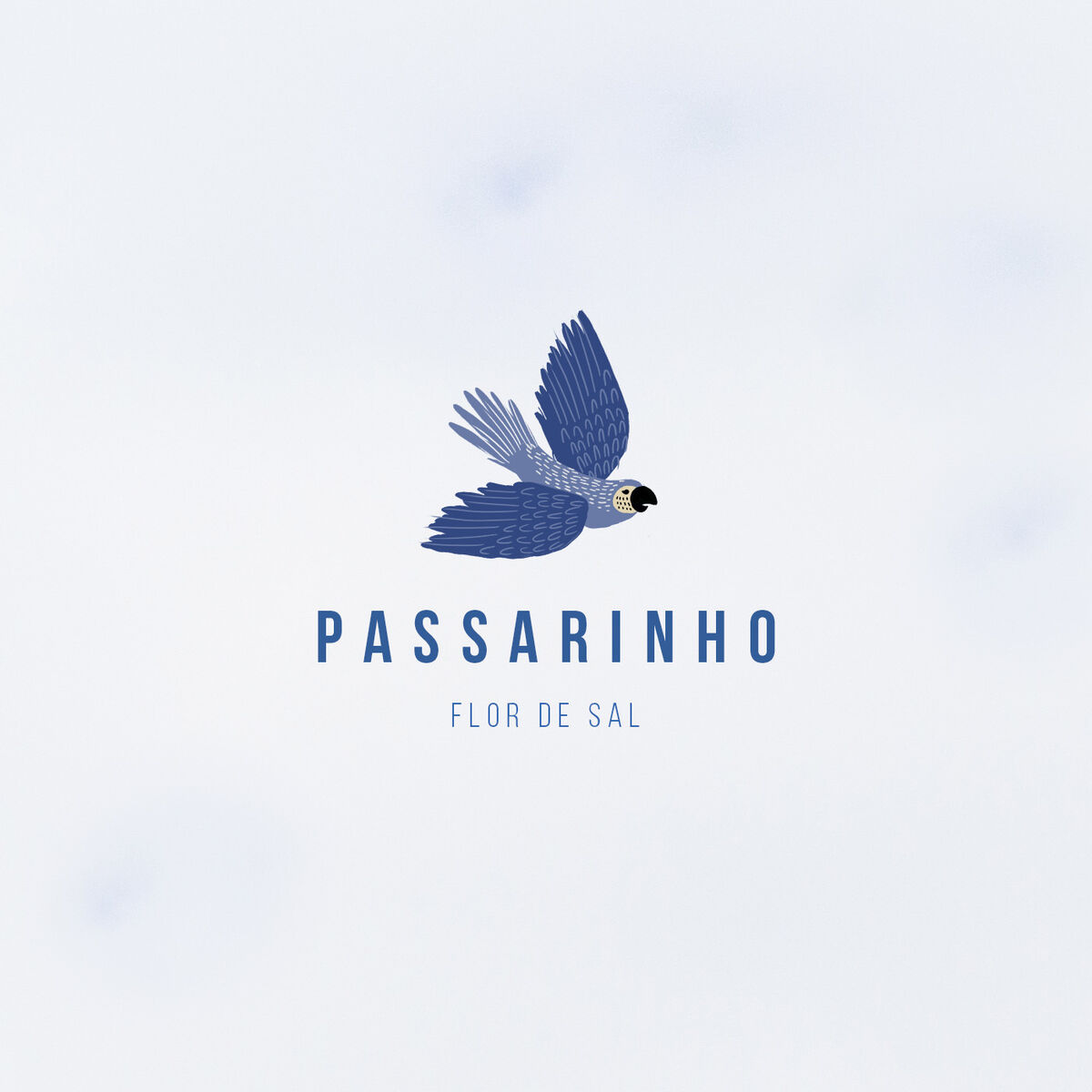 Album cover of Passarinho