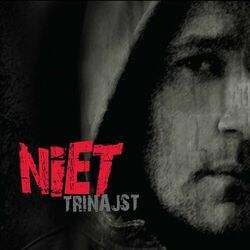 Cover of Trinajst