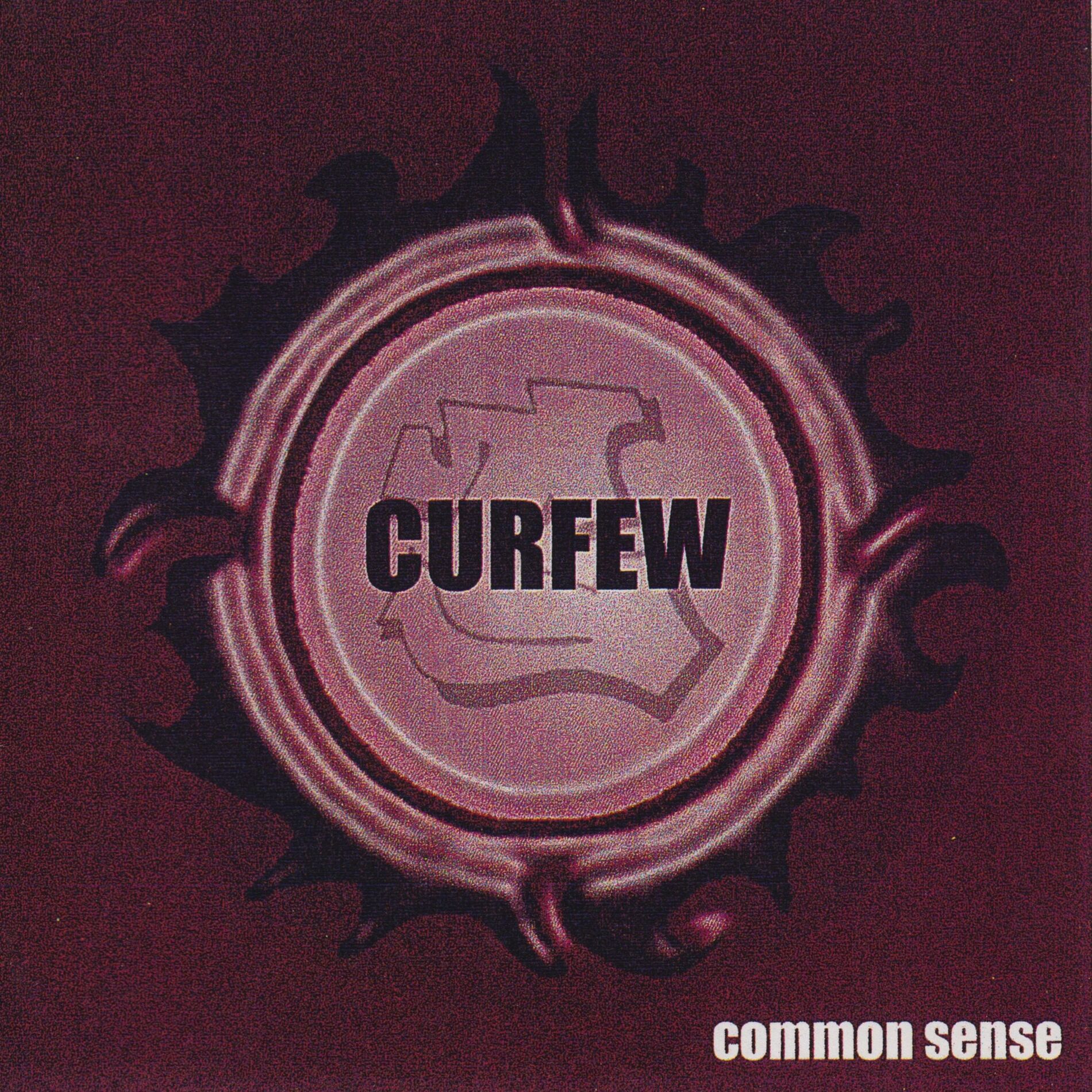 Album picture of Common Sense