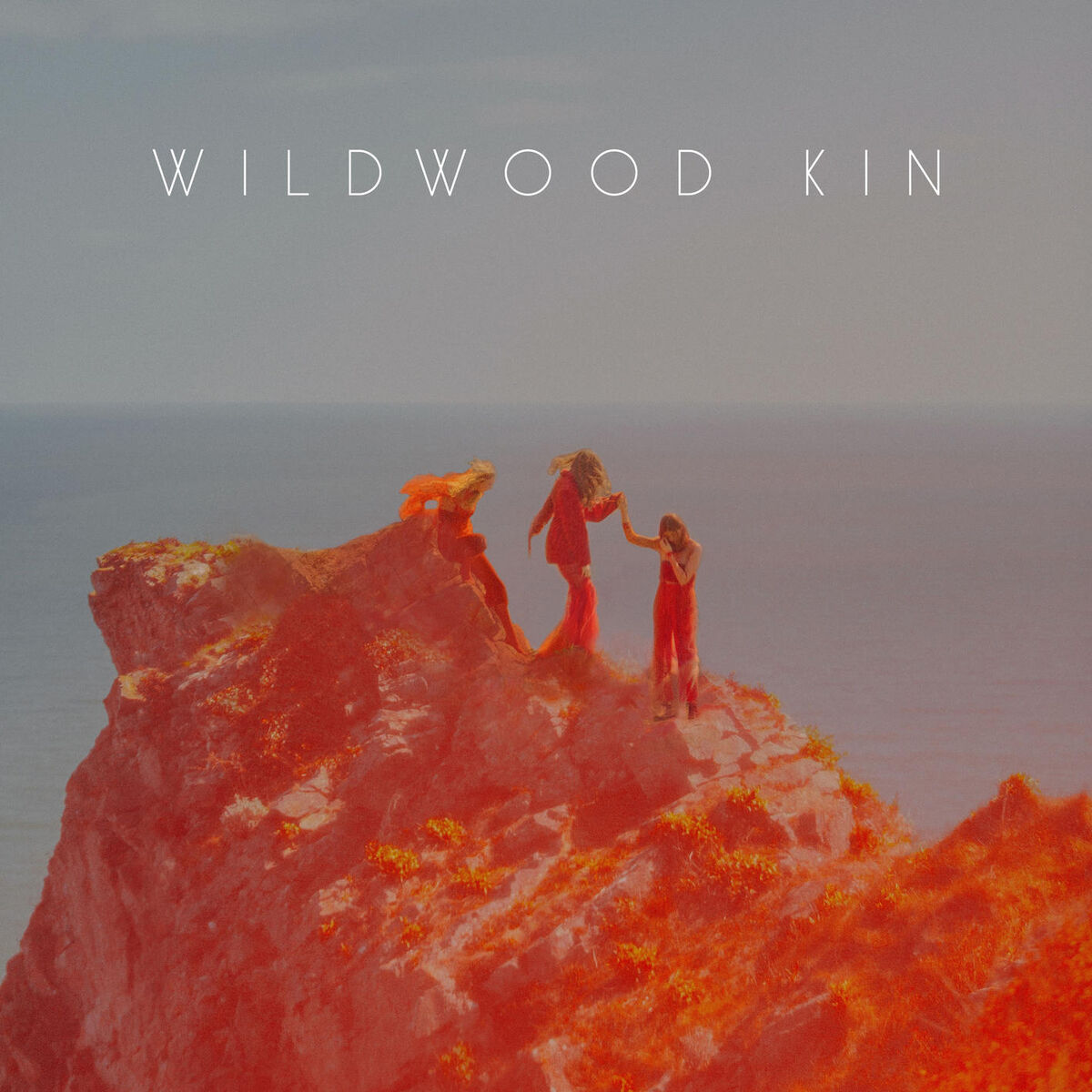 Album cover of Wildwood Kin