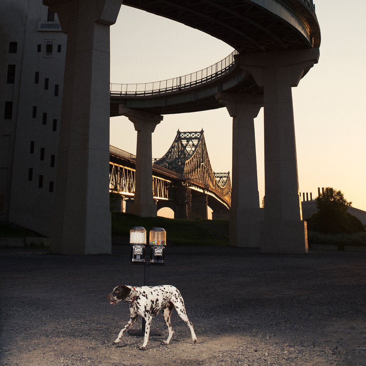 Album cover of Fleur (Deluxe Edition)