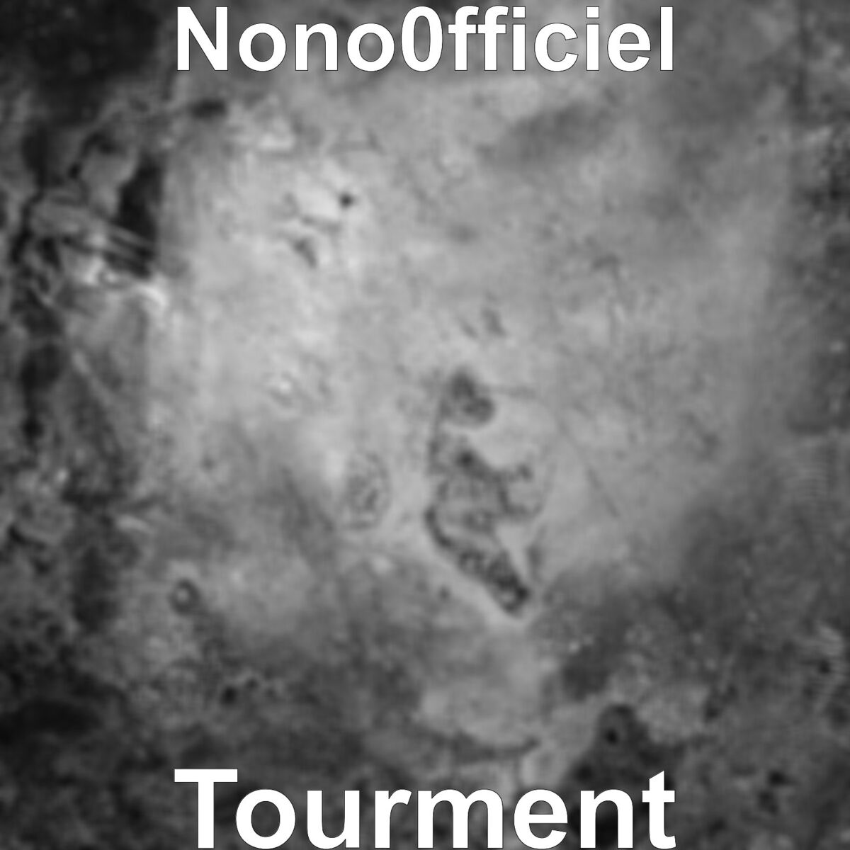 Album cover of Tourment