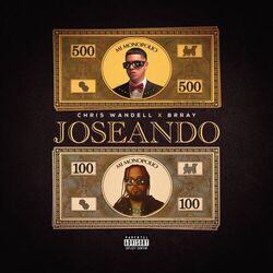 Cover of Joseando