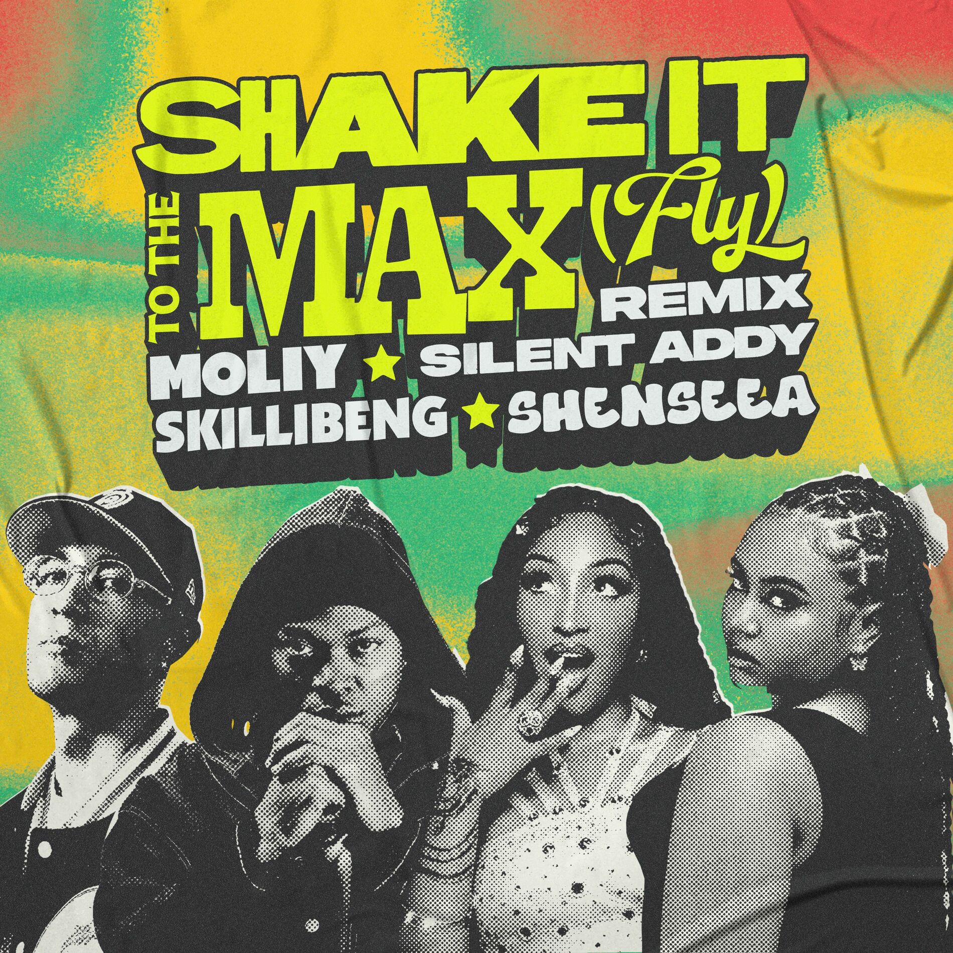 Album cover of Shake It To The Max (FLY) [Remix]