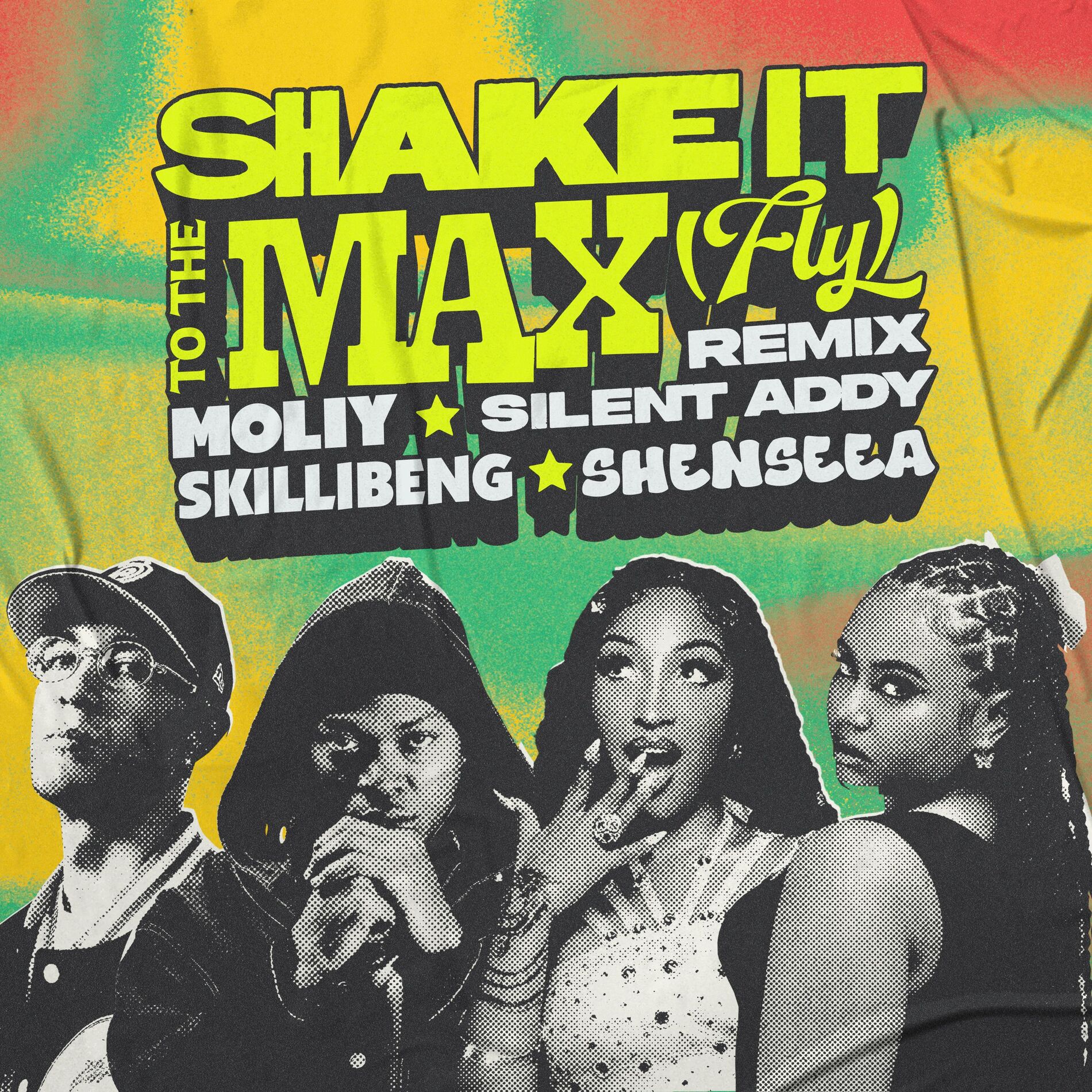 Album cover of Shake It To The Max (FLY) [Remix]