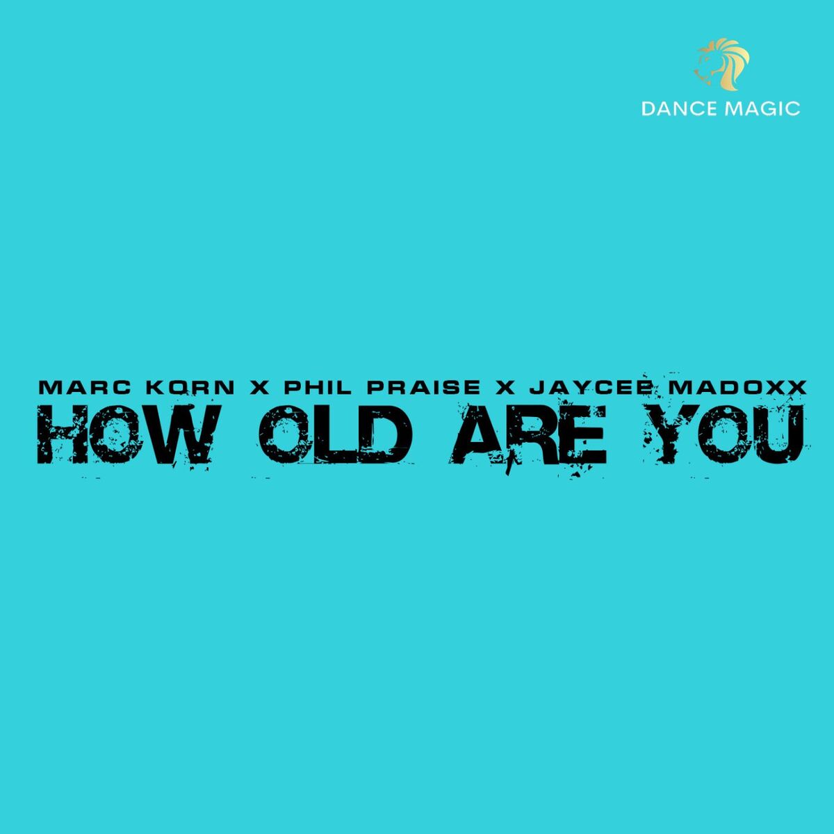 Album cover of How Old Are You