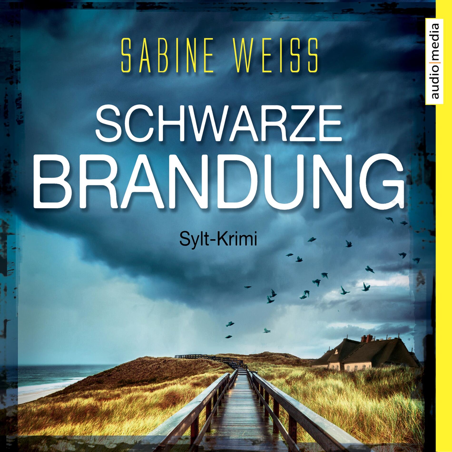 Album cover of Schwarze Brandung