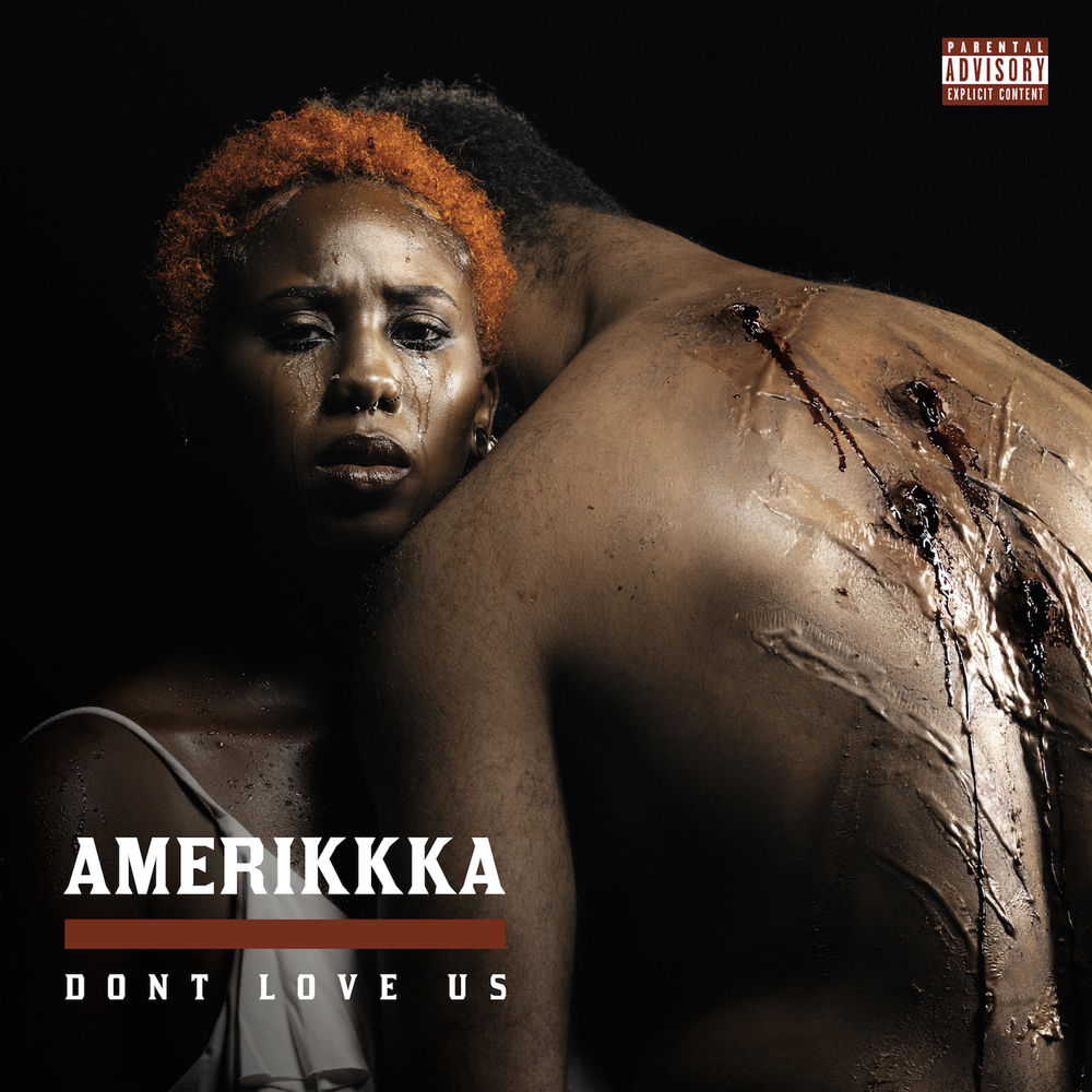 Pochette Amerikkka Dont Love Us