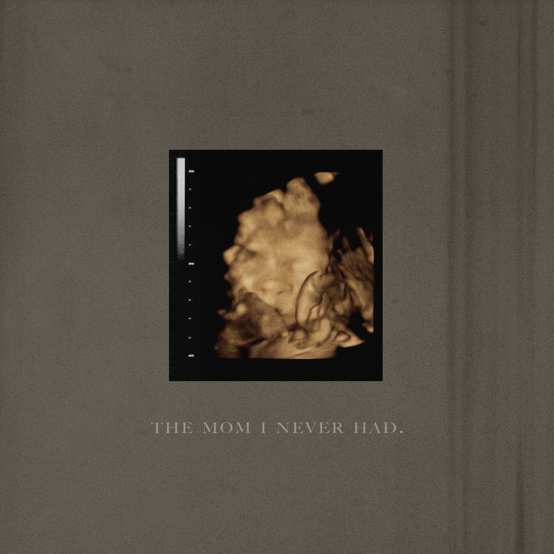 Album cover of The Mom I Never Had