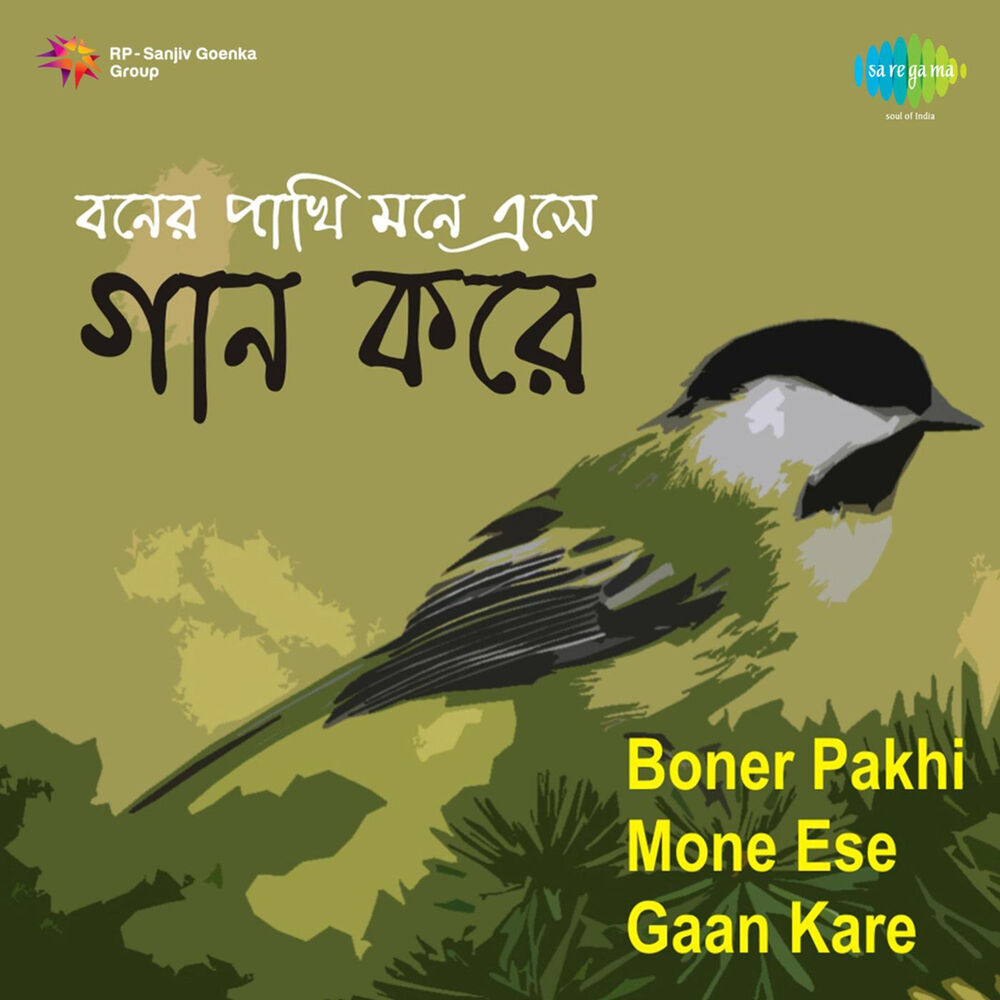 Picture of Boner Pakhi Mone Ese Gaan Kare