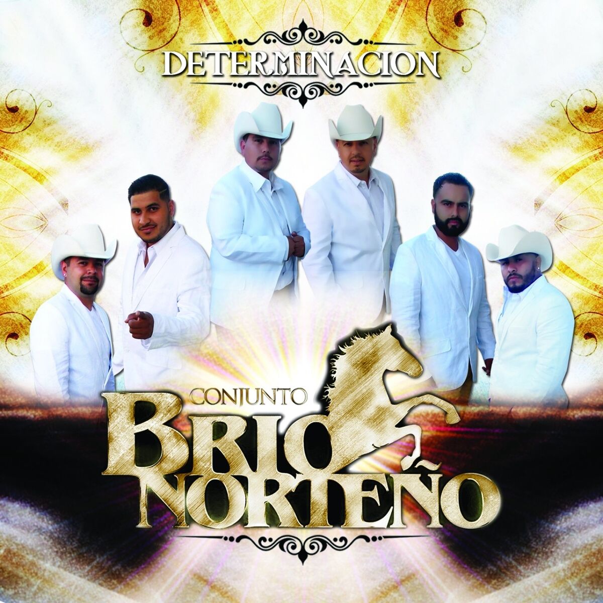 Album cover of Determinacion