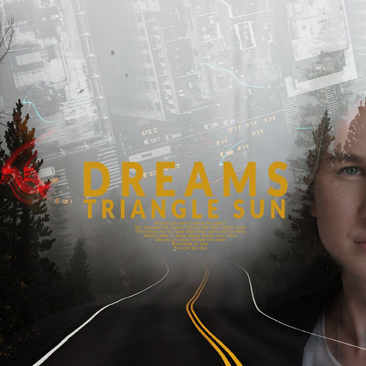 Album cover of Dreams
