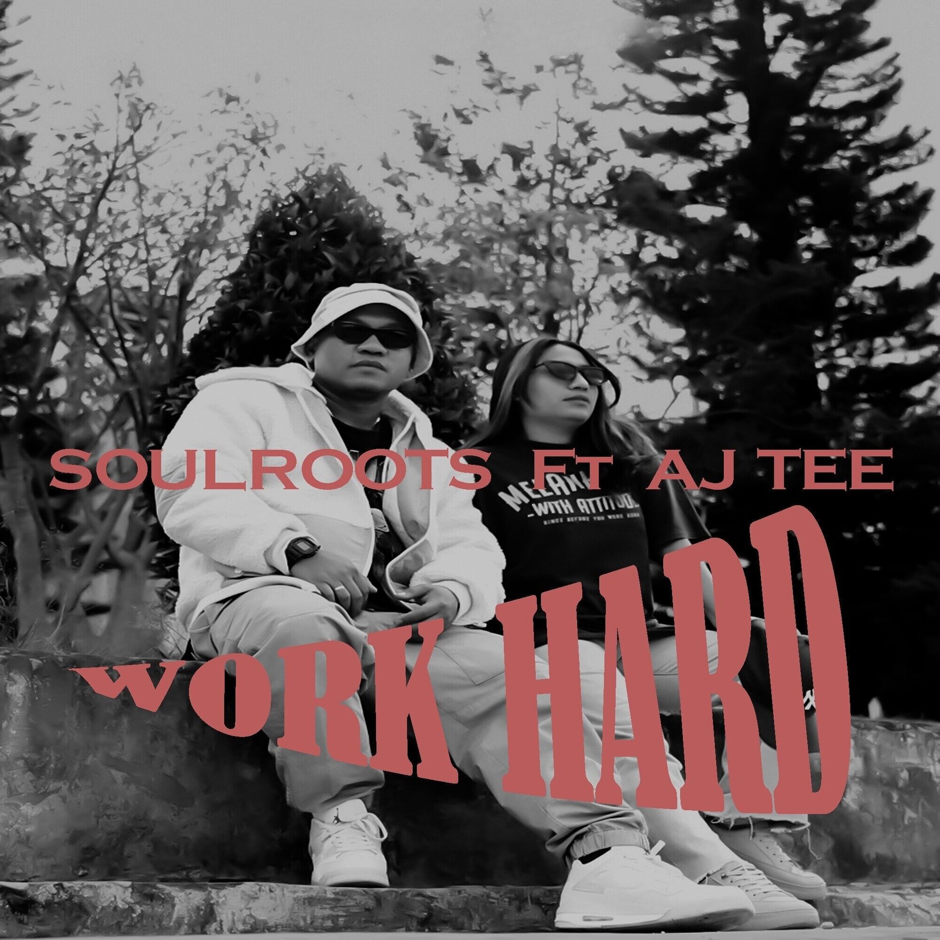 Album cover of Work Hard