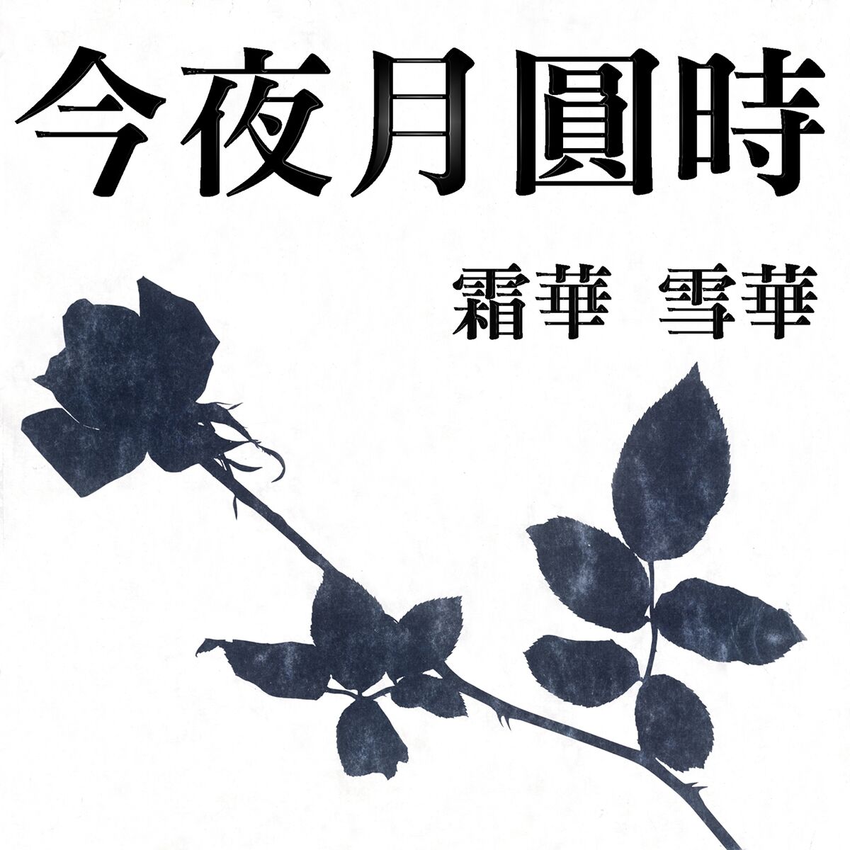 Album cover of 明月照河流