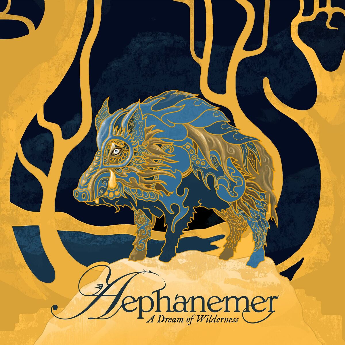 Album cover of A Dream of Wilderness