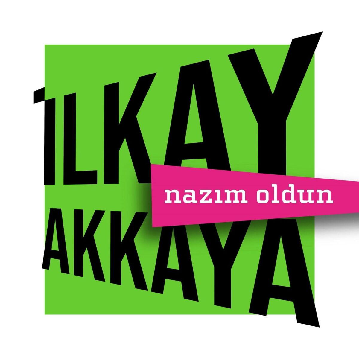Album cover of Nazım Oldun
