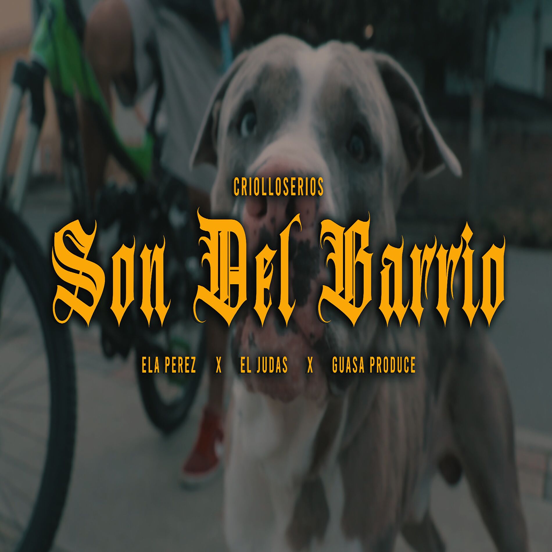 Album cover of Son del Barrio