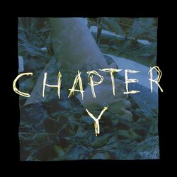 Cover of Chapter Y