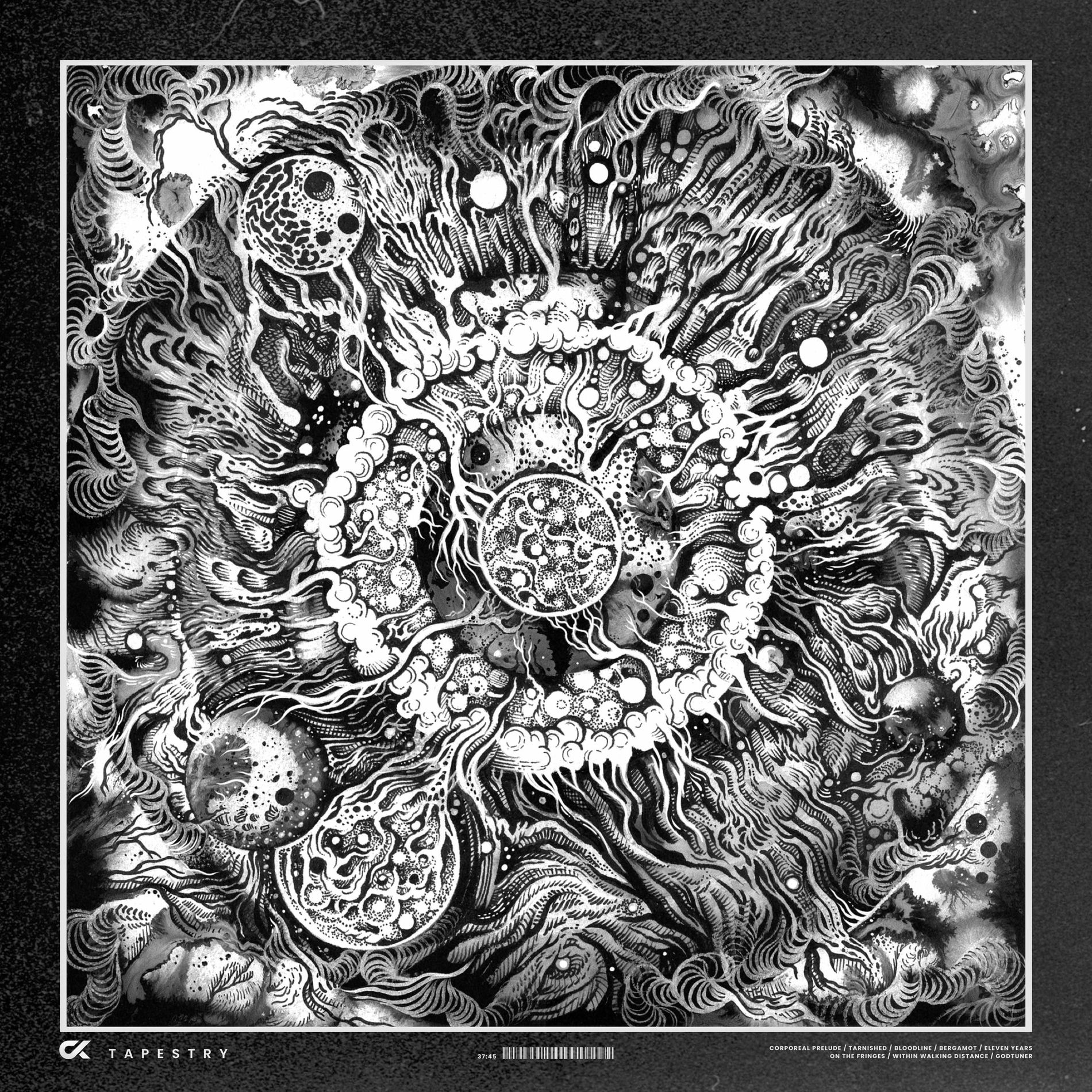 Album cover of Tapestry