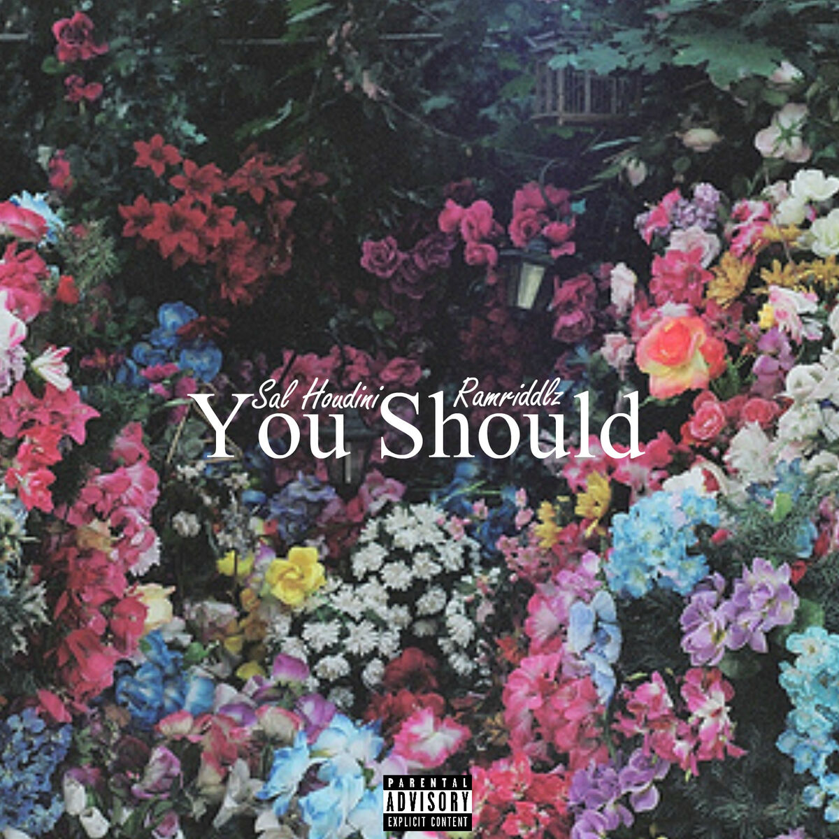 Album cover of You Should