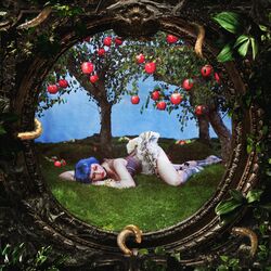 Cover of Panic Attacks in Paradise / Maggots