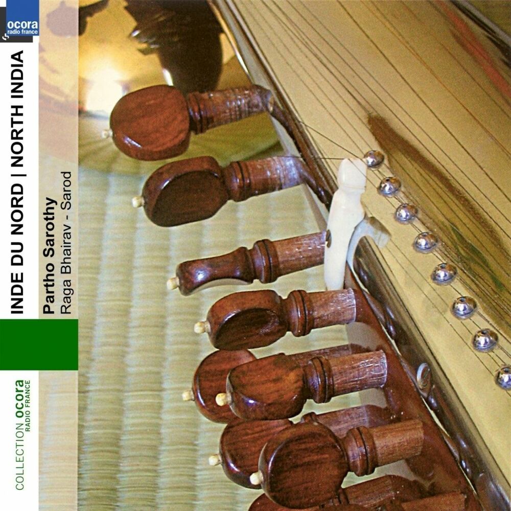 Picture of Inde du Nord - North India: Sarod