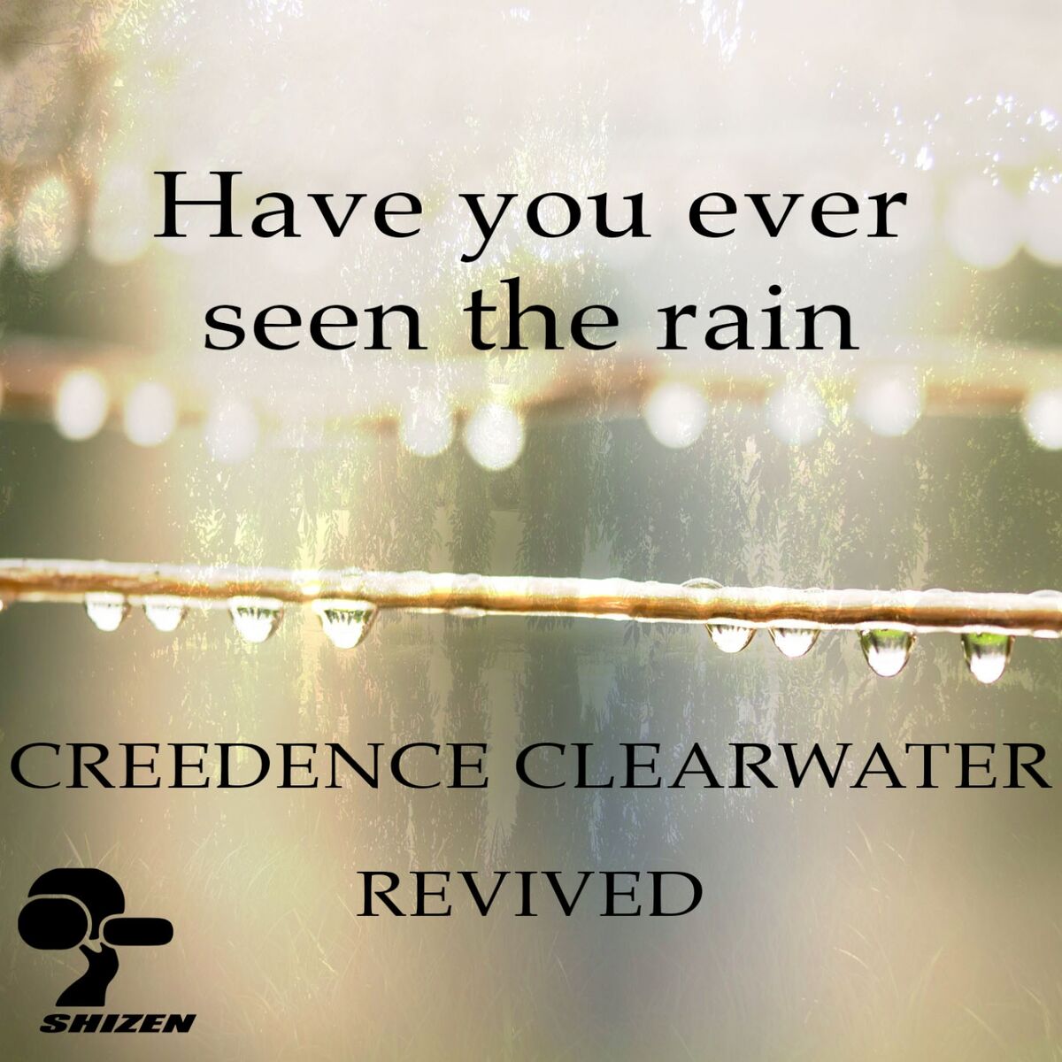 Album cover of Have You Ever Seen the Rain