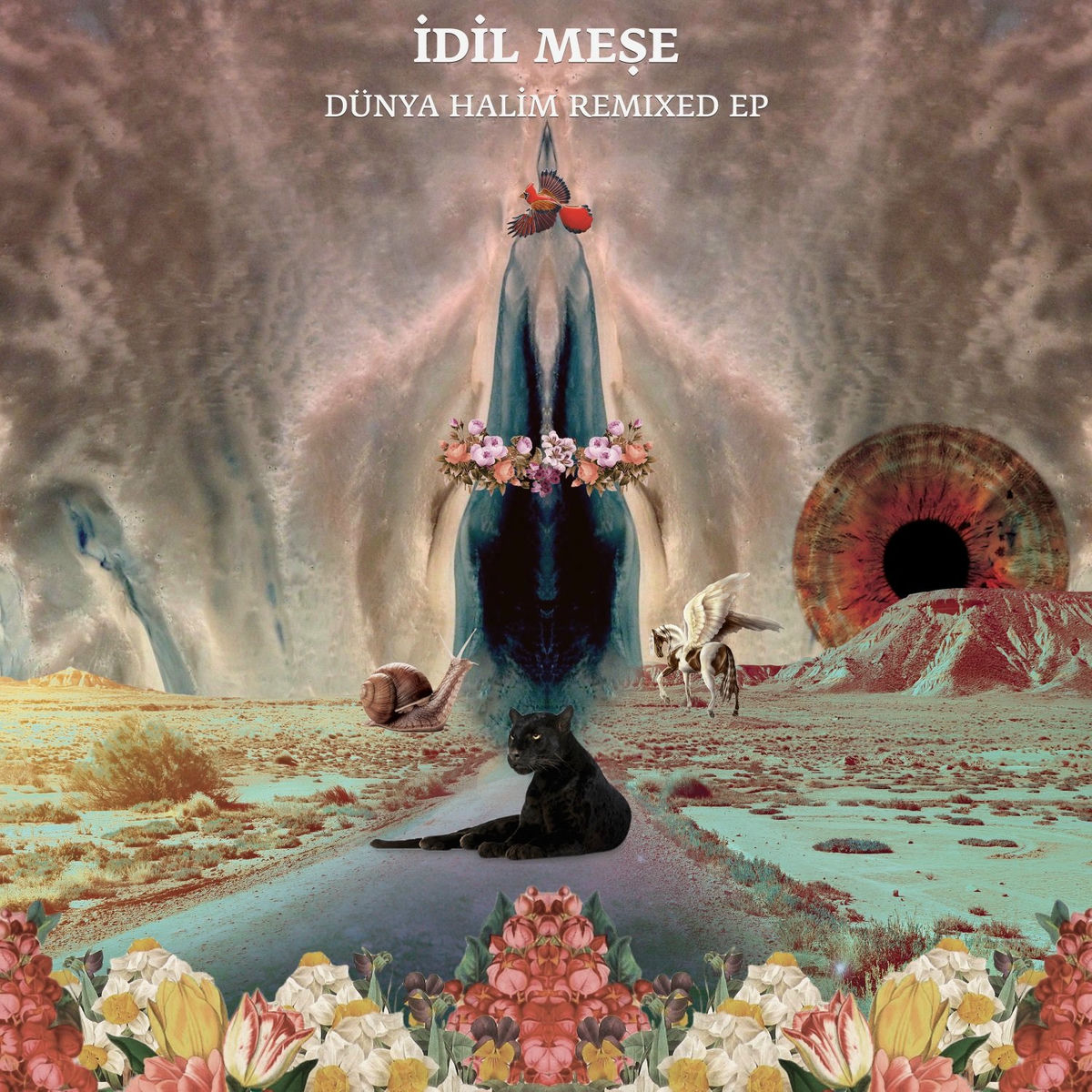 Album cover of Dünya Halim (Remixed)