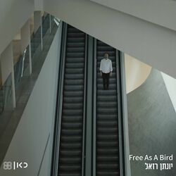 Cover of Free as a Bird