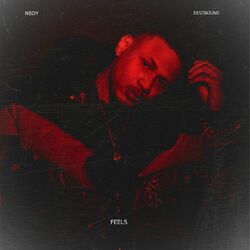 Cover of Feels