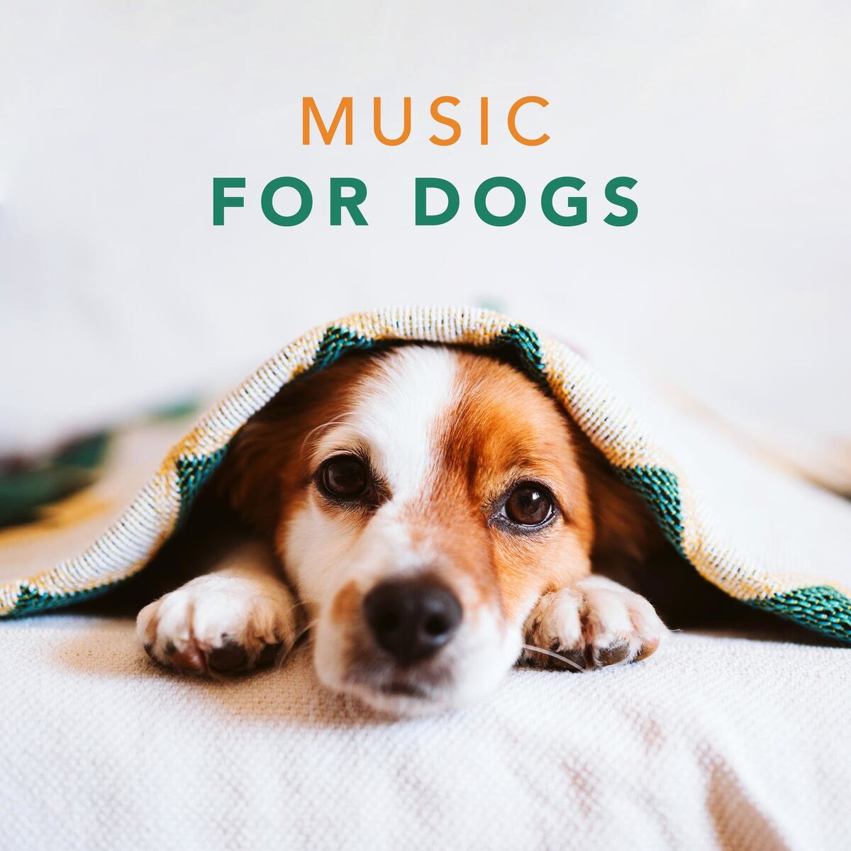 Album picture of Music for Dogs - Relaxing Songs for Dogs and Puppies