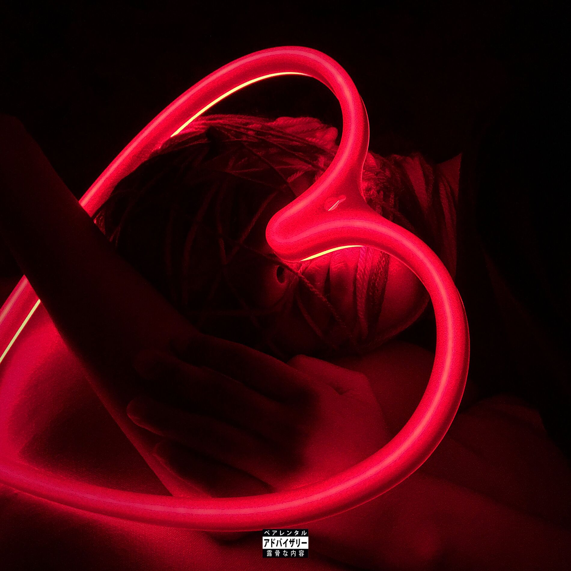Album cover of Anger