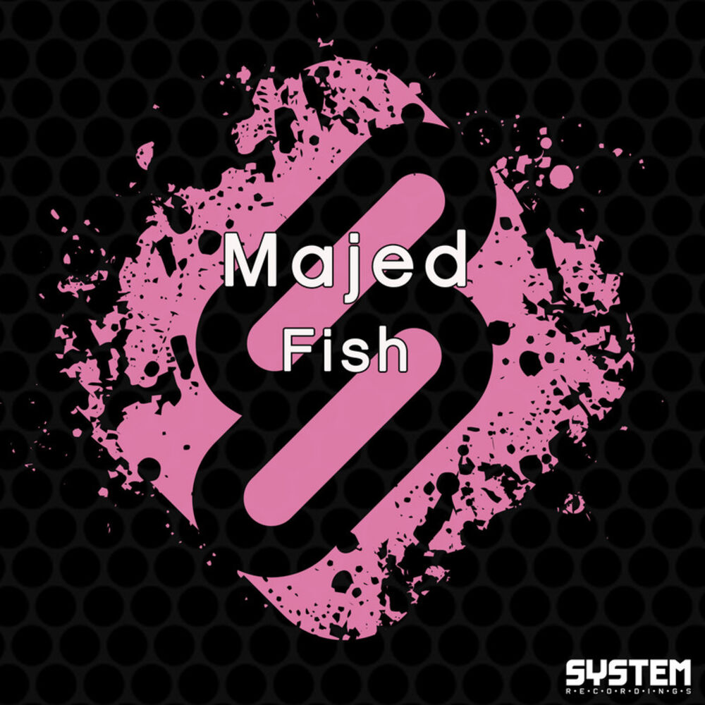 Picture of Fish