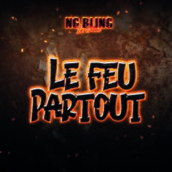 Cover of LE FEU PARTOUT