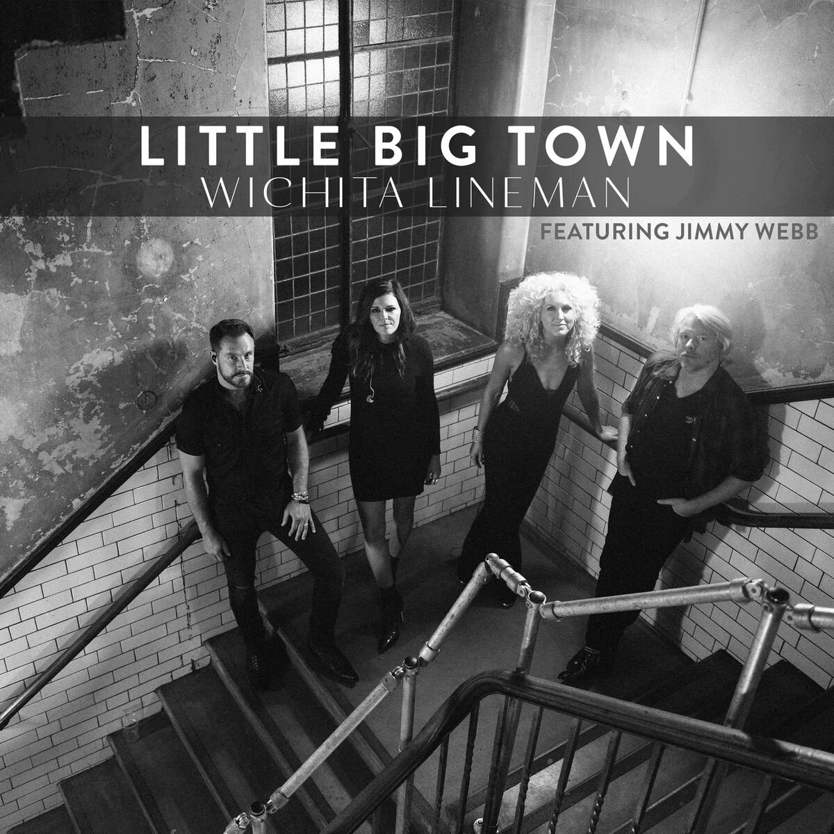 Album cover of Wichita Lineman (Live)